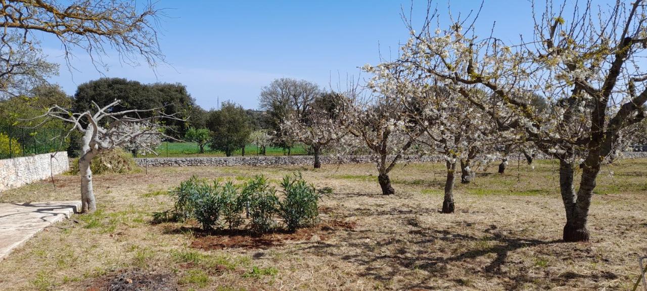 Apartamento Locazione Turistica San Giorgio Putignano Exterior foto